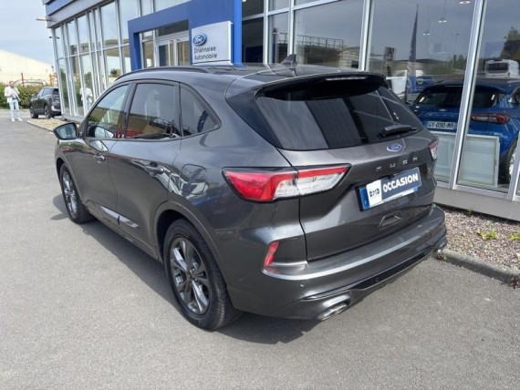 FORD Kuga auem_FDI55002190_04_hd.jpg