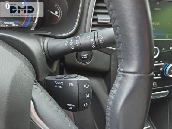 RENAULT Megane auem_FSM35929_16_hd.jpg